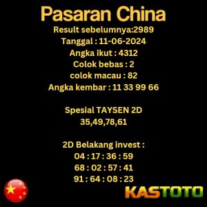 prediksi china tgl 11-06-2024