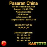 prediksi china hari ini tgl 29-08-2024